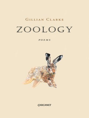 cover image of Zoology